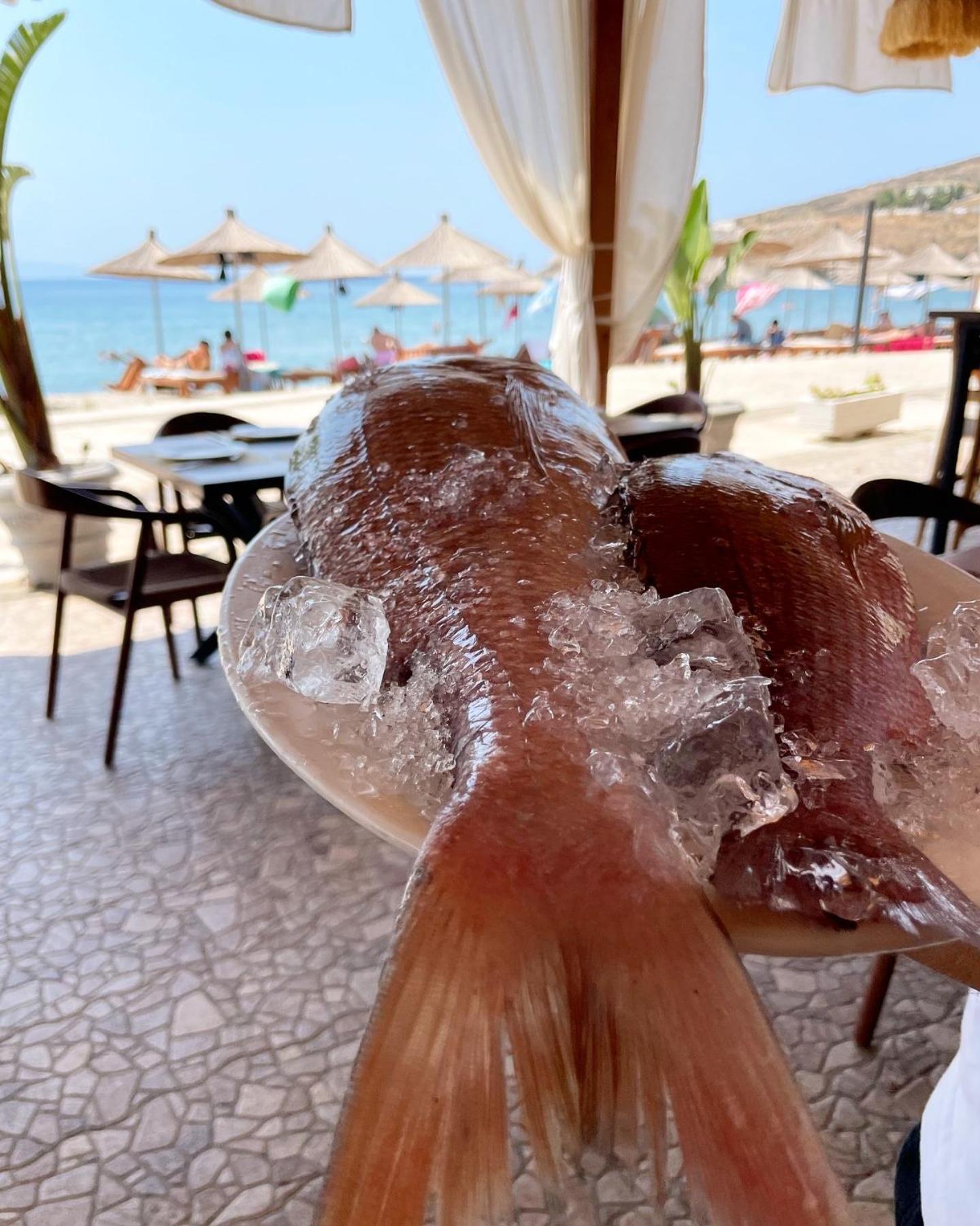 Valta Hotel Qeparo Kültér fotó